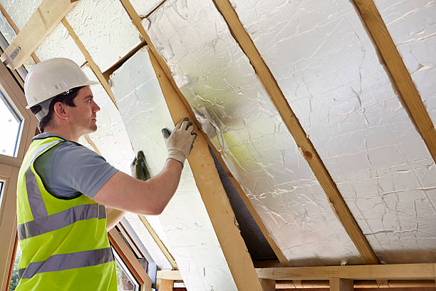 Insulation Inspection Services in Dewitt, IA